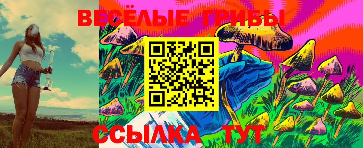 Тимашёвск  Галлюциногенные грибы ЛСД  как найти закладки  Вход с VPN 