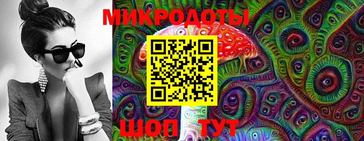 Галлюциногенные грибы Psilocybine cubensis Тимашёвск