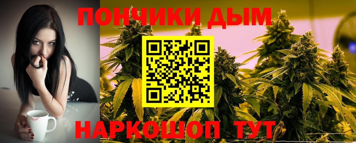 Бошки марихуана план  Канабис MAZAR  Вход с VPN  Шишки марихуана ГИДРОПОН  Марихуана Amnesia  Тимашёвск 